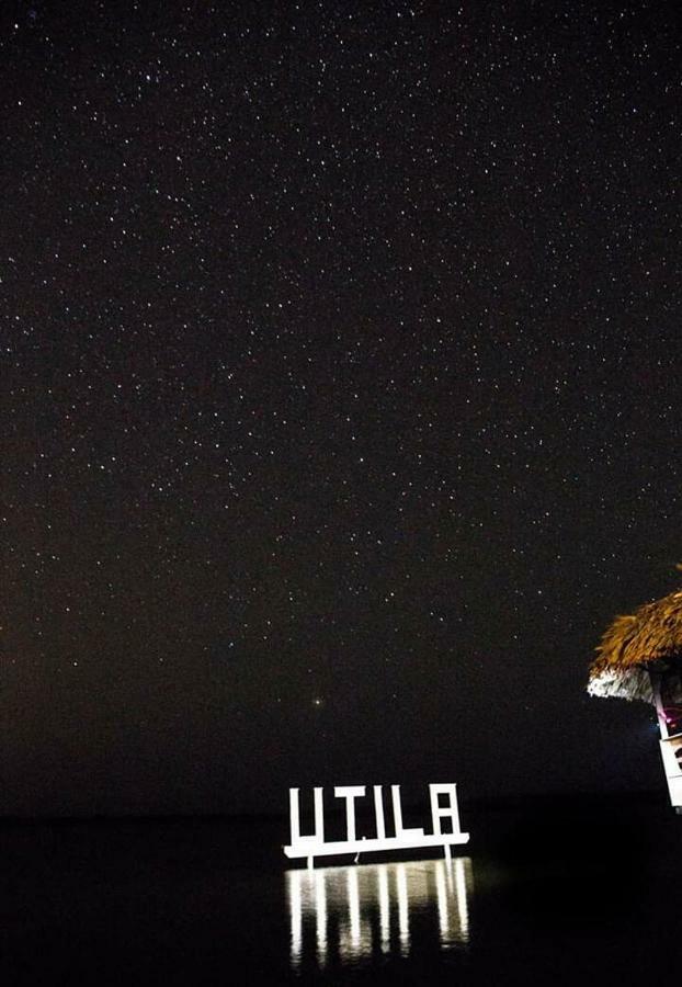 The Venue - Utila Hostel Buitenkant foto